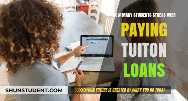 Students Stress Over Tuition Loans: Who and How Many?