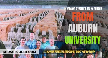 Study Abroad Trends: Auburn University Students Going Global