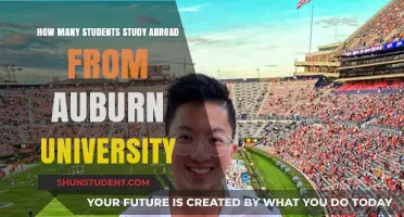Study Abroad Trends: Auburn University Students