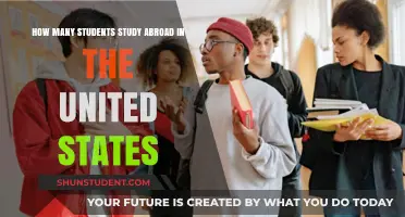 Exploring Educational Horizons: International Students in the U.S