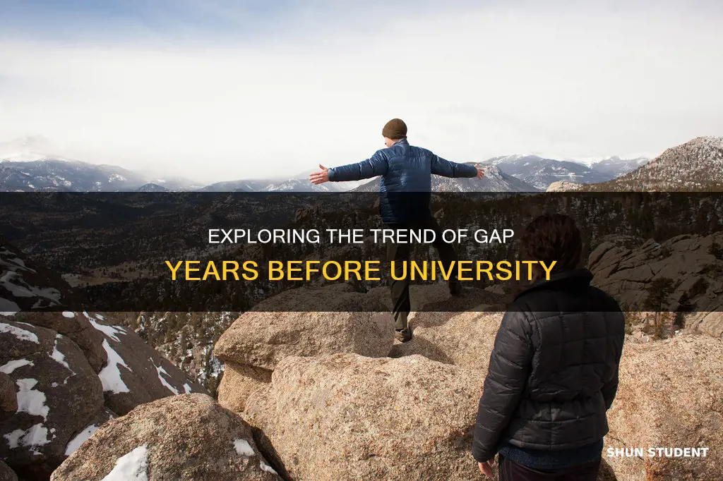 how many students take a gap year before university