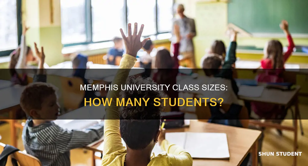 how many students to make a class university of memphis