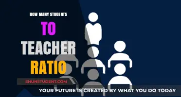 Optimizing Learning: Ideal Student-Teacher Ratios for Effective Education