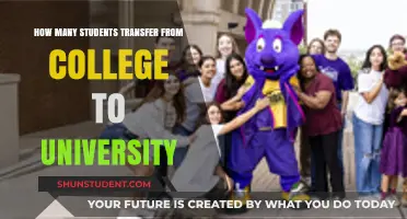 Transfer Students: College to University Transition Insights