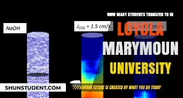 Transfer Students Flock to Loyola Marymount University