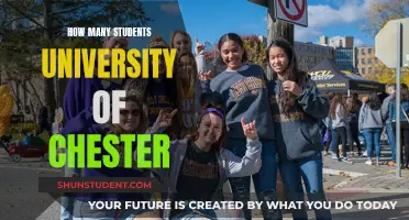 Exploring Student Numbers: University of Chester's Size