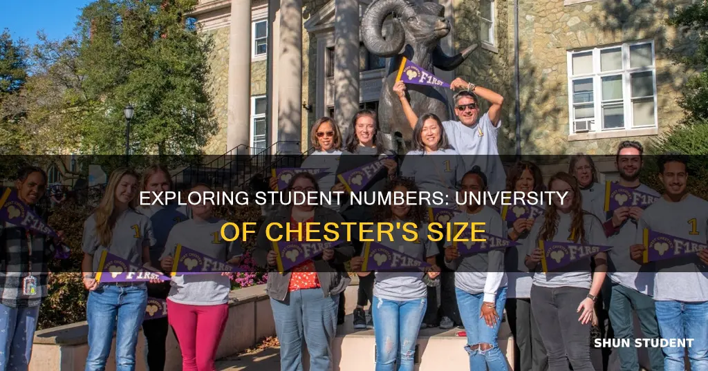 how many students university of chester