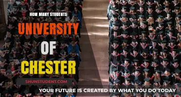 Chester University's Student Population: How Many?