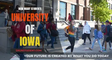 Iowa's University Student Population: A Comprehensive Overview