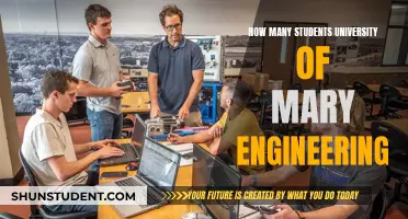 Engineering Students at the University of Mary: How Many?