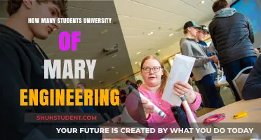Engineering Students at the University of Mary: How Many?