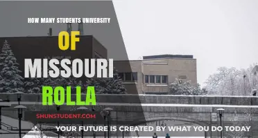 Rolla's Student Population: A Thriving Community