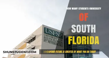 USF's Student Population: A Comprehensive Overview