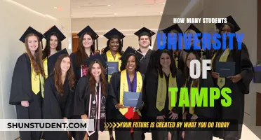 University of Tampa: Student Population Insights