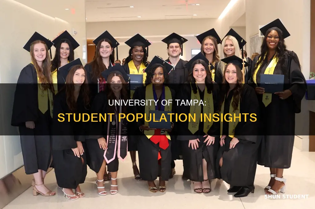 how many students university of tamps