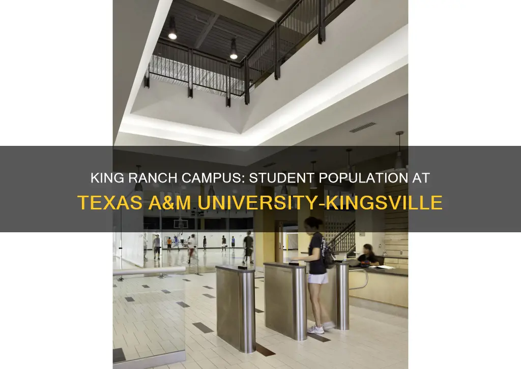 how many students university of texas kingsville campus