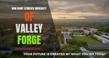 Exploring University of Valley Forge's Student Population