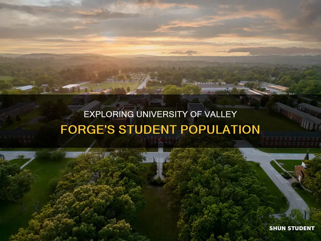 how many students university of valley forge