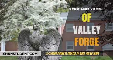 University of Valley Forge: Student Population Insights