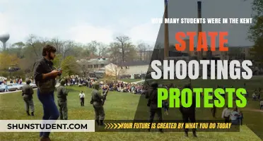 Kent State Shootings: Unraveling the Student Protest Tragedy