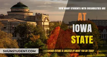 Inclusive Education at Iowa State: A Closer Look at Student Diversity