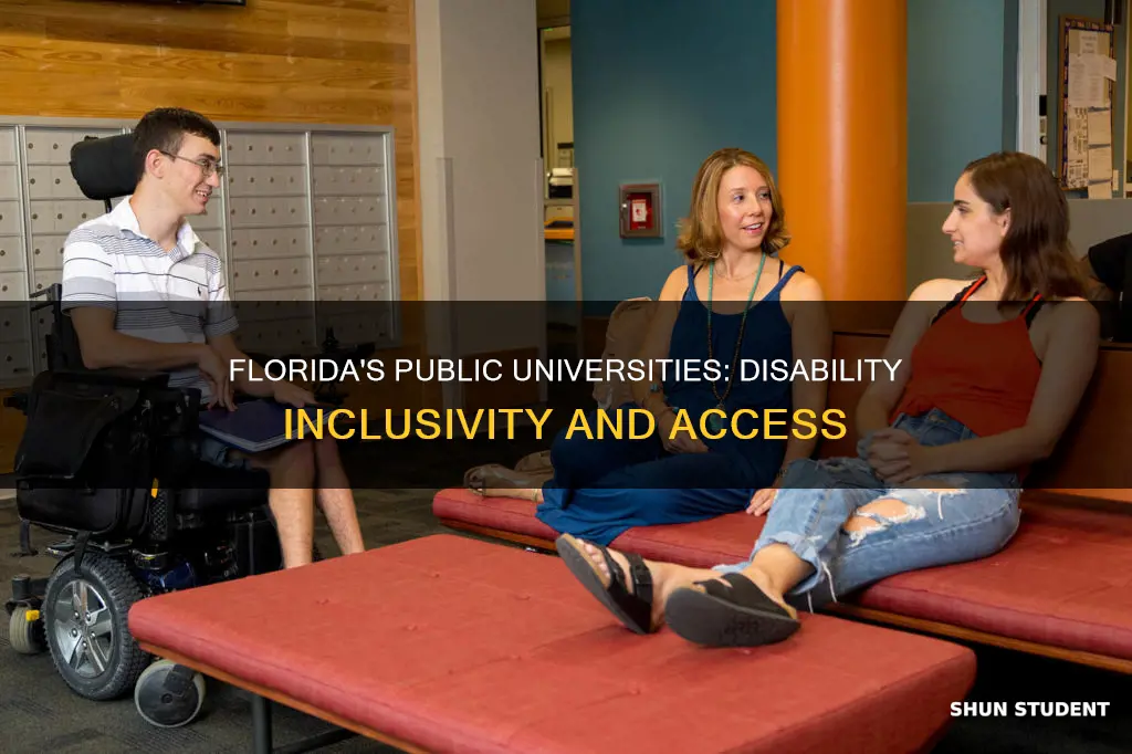 how many students with physical disabilities attend florida public universities