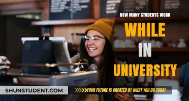 Working Students: Balancing University and Employment