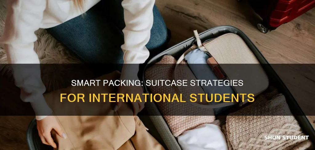 how many suitcases international students