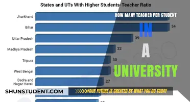 Student-Teacher Ratios: University Learning Environments