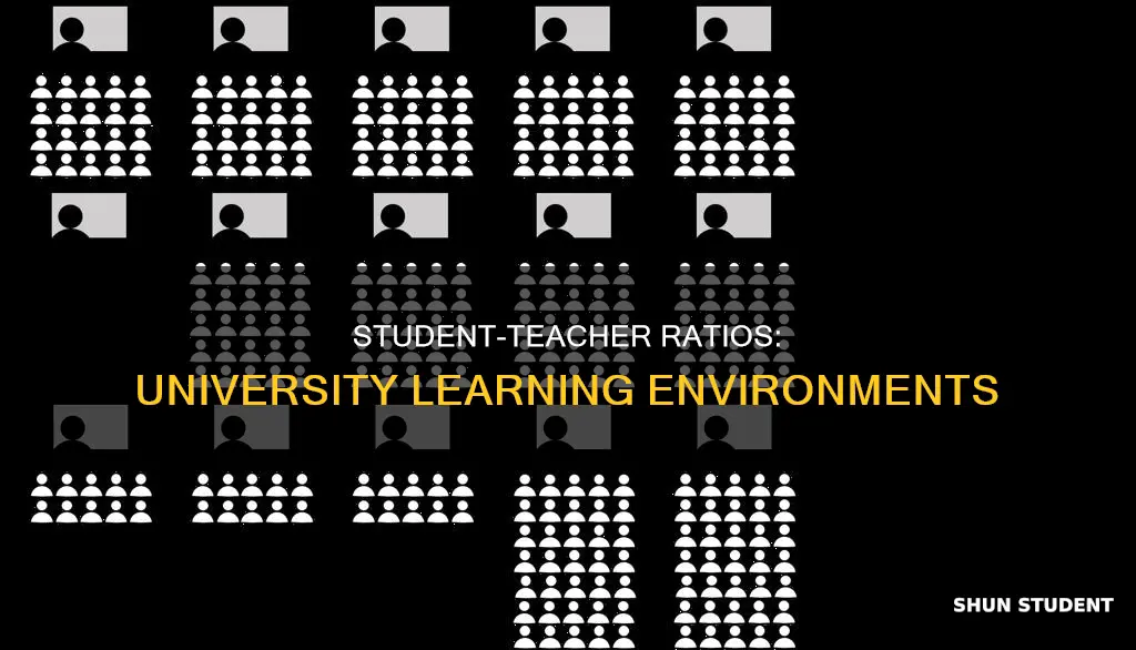 how many teacher per student in a university