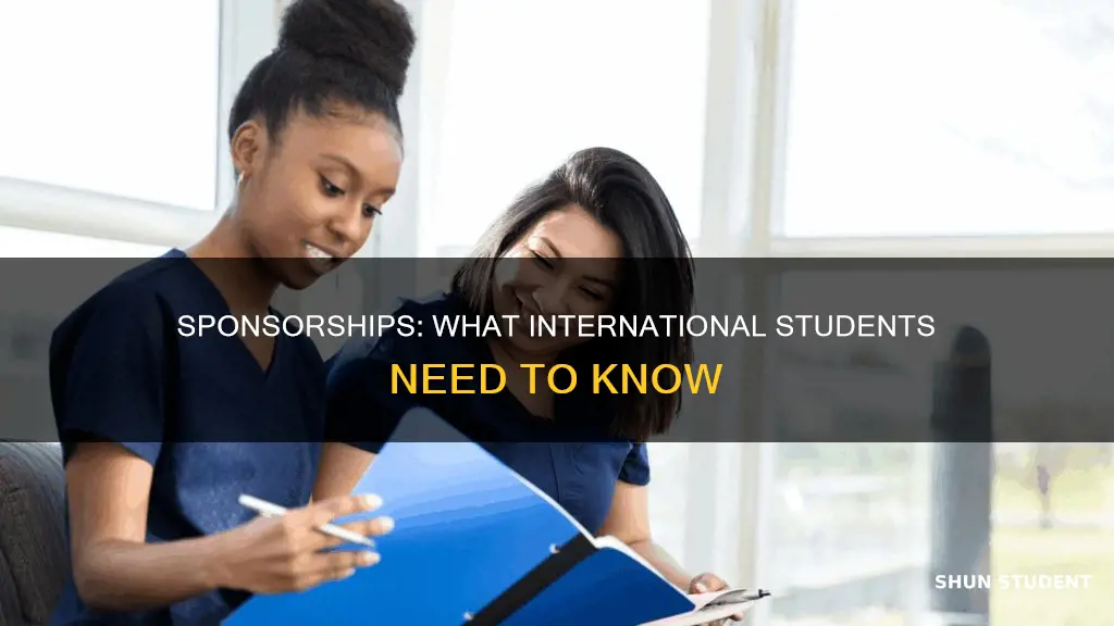 how many times does an international student require sponsorship