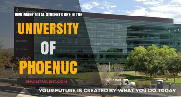 Student Population at the University of Phoenuc