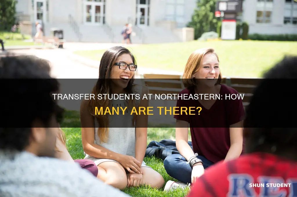 how many transfer students are there in northeastern university