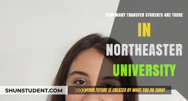Transfer Students at Northeastern: A Large Influx