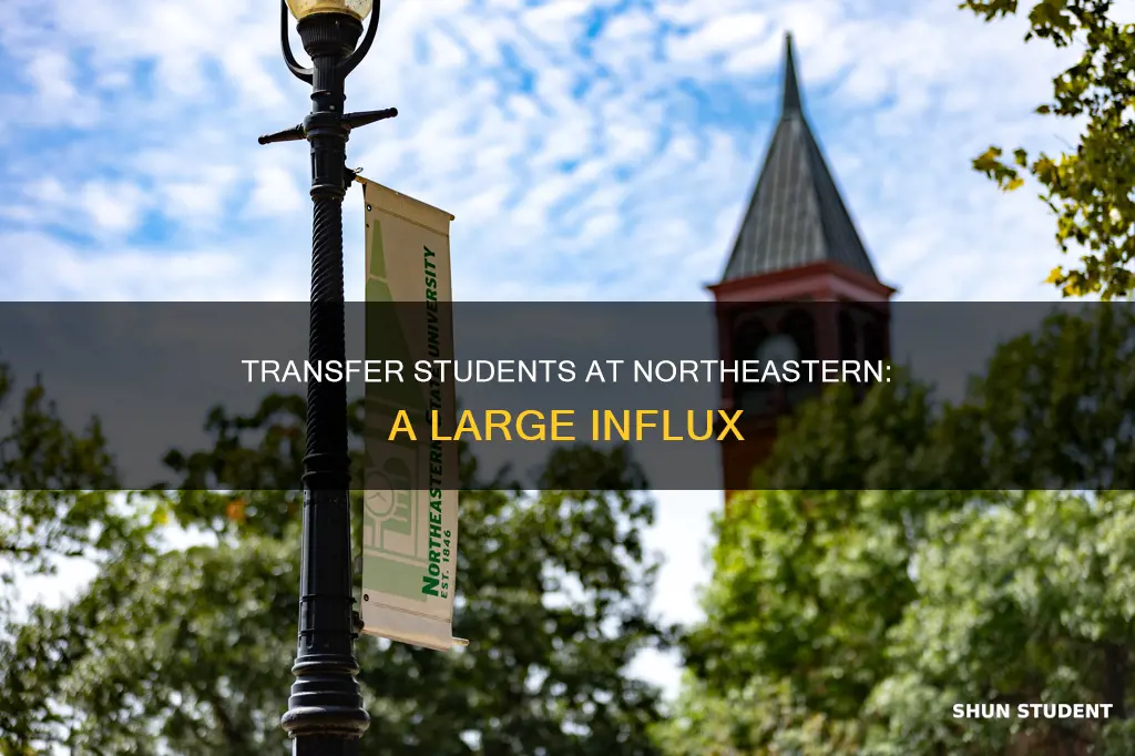 how many transfer students are there in northeastern university