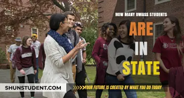 Exploring the Hometown Roots of UMass Students: A Statewide Breakdown