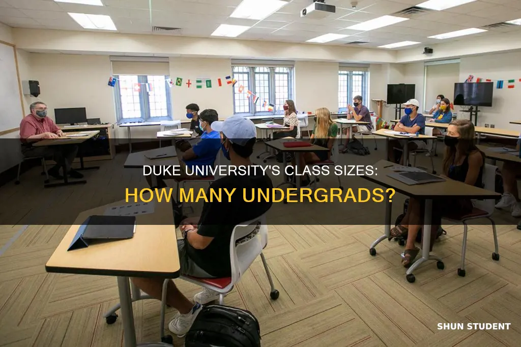 how many undergrad students at duke university per class