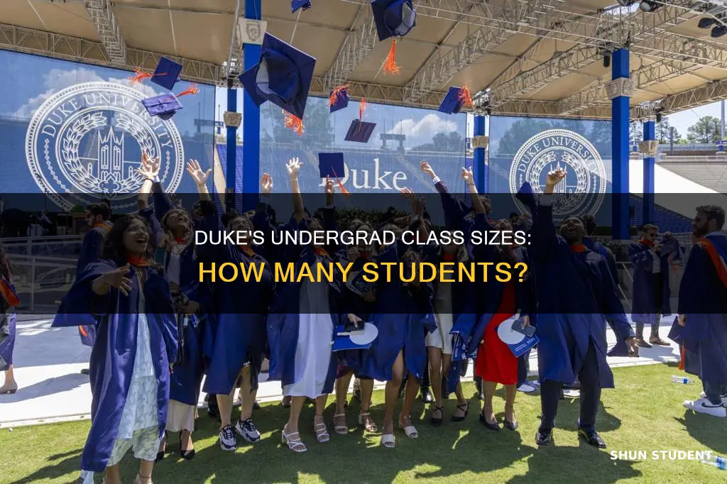 how many undergrad students at duke university per class