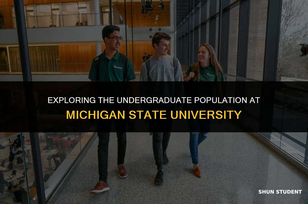 how many undergrad students at michigan state