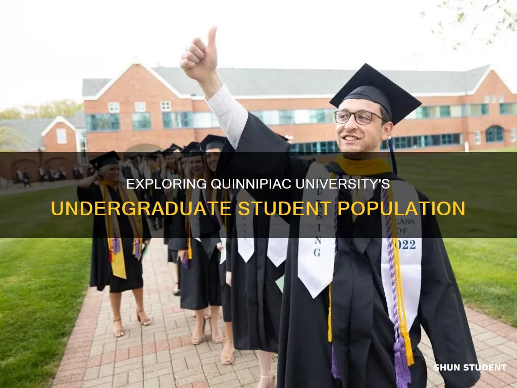 how many undergrad students quinnipiac university