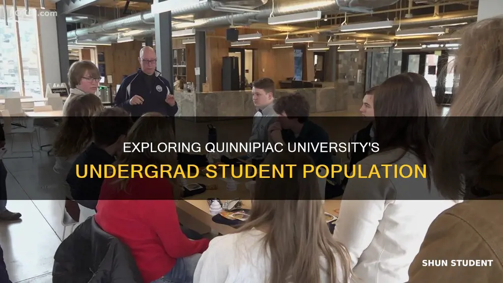 how many undergrad students quinnipiac university