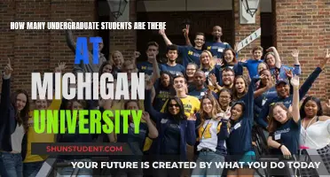 Michigan University: Undergraduate Student Population Insights