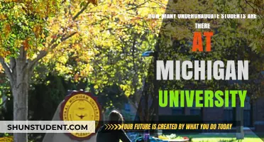 The Undergraduate Population at Michigan University