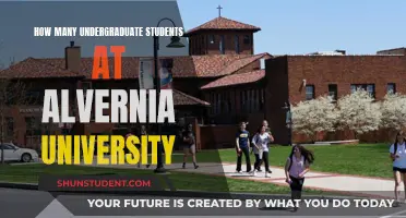 Undergraduate Student Population at Alvernia University: How Many?