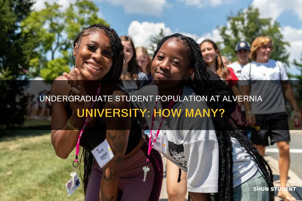 how many undergraduate students at alvernia university