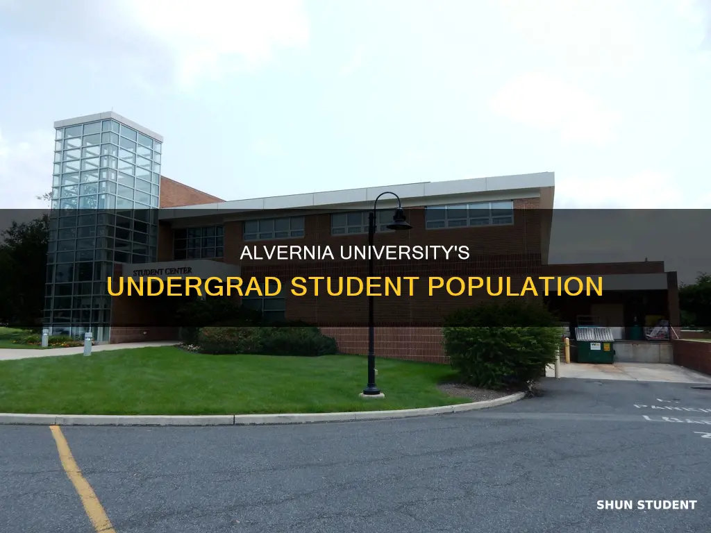 how many undergraduate students at alvernia university