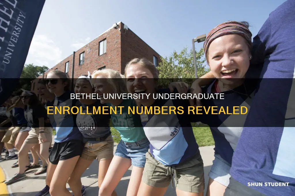 how many undergraduate students at bethel university