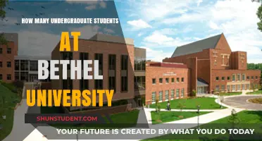 Bethel University's Undergraduate Student Population