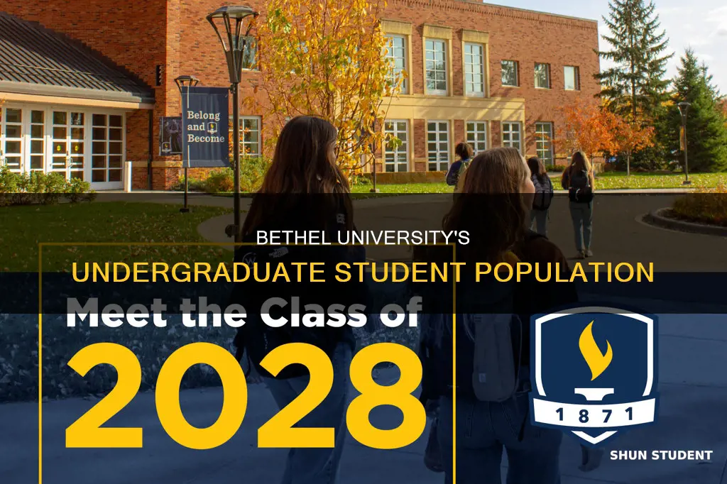 how many undergraduate students at bethel university