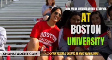 Boston University's Undergraduate Population: Size and Significance